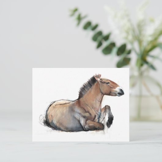 Carte Postale Siège Przewalski 2011 (Debout devant)