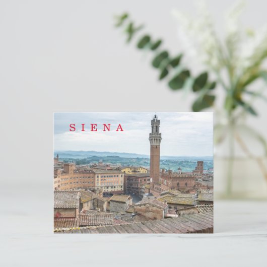Carte postale Siena Piazza del Campo vue (Debout devant)