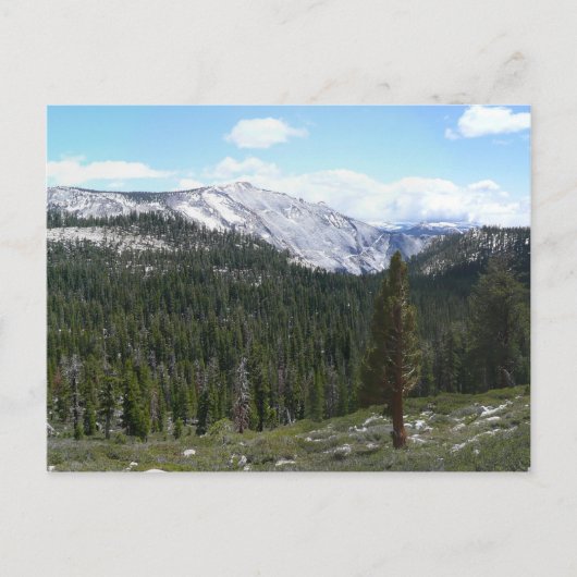 Carte Postale Sierra Nevada Mountains II de Yosemite (Devant)