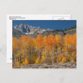 Carte Postale Sierra orientale couleurs d'automne (Devant / Derrière)