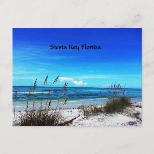 Carte postale Siesta Key (Devant)