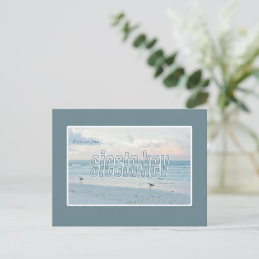 Carte postale Siesta Key, Floride (Debout devant)