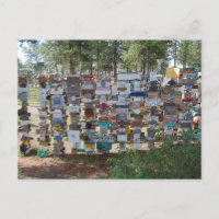 Sign Post Forest, Watson Lake, Yukon
