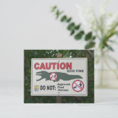 Carte postale Signal Alligators de prudence (Debout devant)