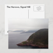 Carte postale Signal Hill, Narrows (Devant / Derrière)