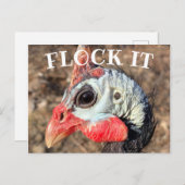 Carte Postale SIGNALER, Guinée Boîte en bois (Devant / Derrière)