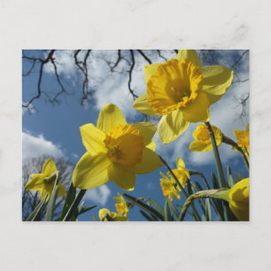 CARTE POSTALE SIGNE DU PRINTEMPS