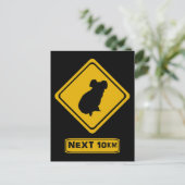 Carte Postale signe routier koala (Debout devant)