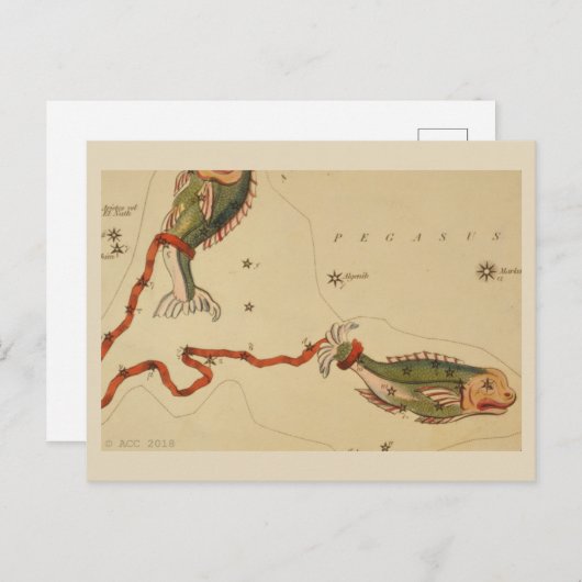 Carte Postale SIGNE Zodiaque Pisces (Devant / Derrière)