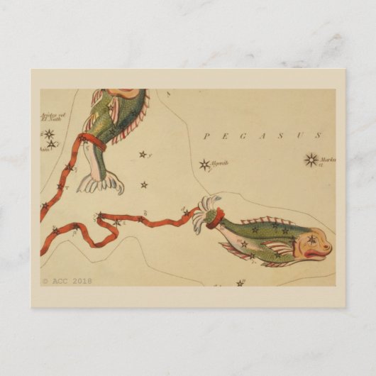 Carte Postale SIGNE Zodiaque Pisces (Devant)