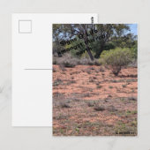 Carte Postale Signes O'Life (Devant / Derrière)