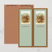 Carte Postale Signet américain Woodcock (Devant / Derrière)