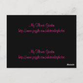 Carte postale Signet Rose Daisy (Dos)