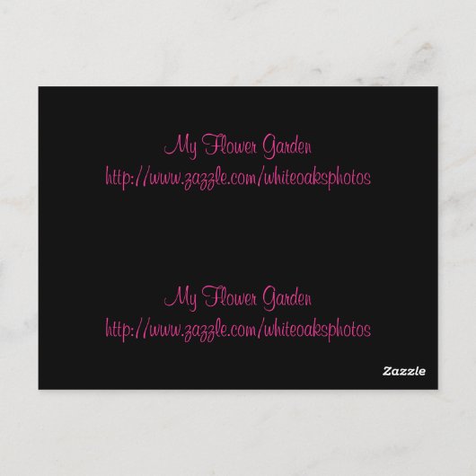 Carte postale Signet Rose Daisy (Dos)