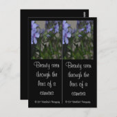 Carte postale Signets à fleurs bleues (Devant / Derrière)