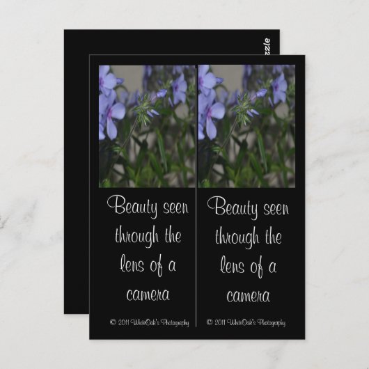 Carte postale Signets à fleurs bleues (Devant / Derrière)