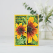 Carte Postale Signets DE FLEURS DE BLANCHES (Debout devant)