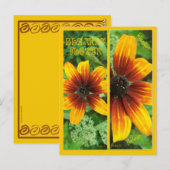 Carte Postale Signets DE FLEURS DE BLANCHES (Devant / Derrière)