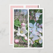 CARTE POSTALE SIGNETS FLEURS DE POMMIER (Devant / Derrière)