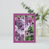 CARTE POSTALE SIGNETS LILAC (Debout devant)