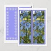 CARTE POSTALE SIGNETS LOURDEMENT BLEU (Devant / Derrière)
