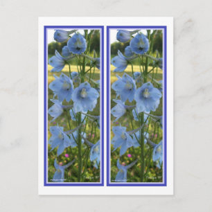 CARTE POSTALE SIGNETS LOURDEMENT BLEU