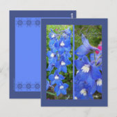 CARTE POSTALE SIGNETS SKYBLUES (Devant / Derrière)