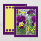 CARTE POSTALE SIGNETS VIOLA (Devant / Derrière)