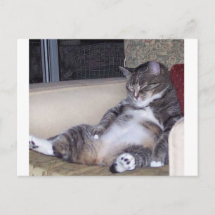 Carte Postale S'il a besoin d'un pantalon ou d'un soutien-gorge.