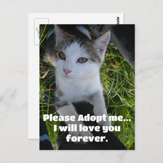 Carte Postale S'il vous plaît, adoptez-moi... vous aimera pour t (Devant / Derrière)