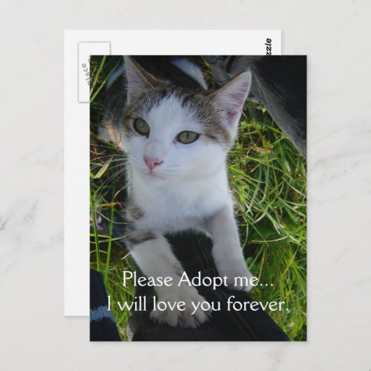 Carte Postale S'il vous plaît, adoptez-moi... vous aimera pour t (Devant / Derrière)