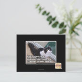 Carte Postale S'il vous plaît ouvrir la porte (Debout devant)