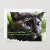 Carte Postale S'Il Vous Plaît Spirer Votre Chat Empêcher Les Cha (Devant / Derrière)
