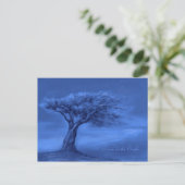 Carte postale Silence Night (Debout devant)