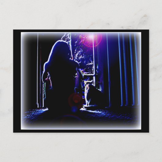 Carte Postale Silence nocturne (Devant)