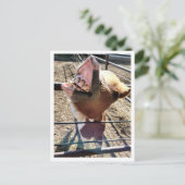 Carte postale Silencieuse (Debout devant)