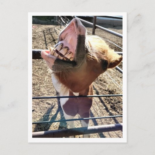 Carte postale Silencieuse (Devant)