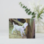 Carte Postale Silencieux petit enfant (Debout devant)