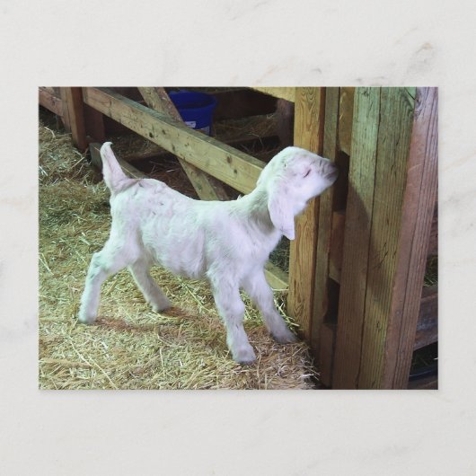 Carte Postale Silencieux petit enfant (Devant)