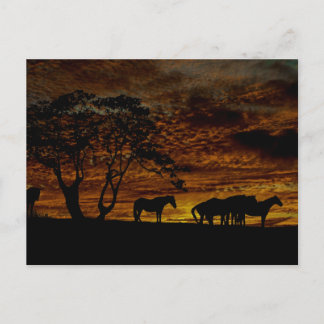 Carte Postale Silhouette