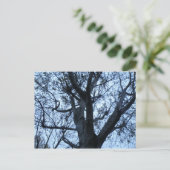 Carte postale Silhouette Arbre (Debout devant)