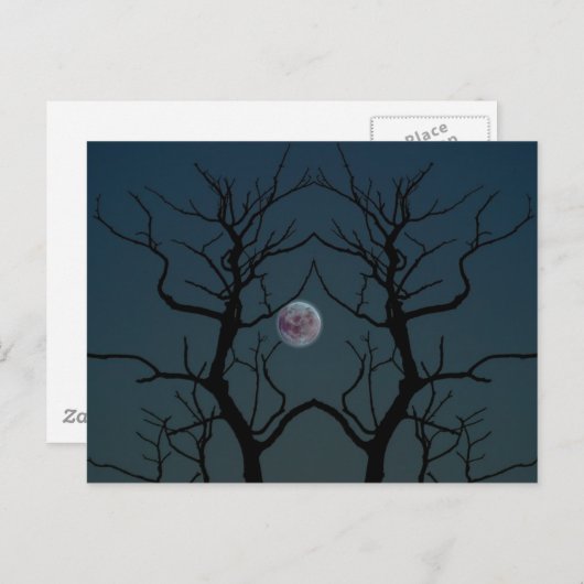 Carte Postale Silhouette Arbre Lune (Devant / Derrière)