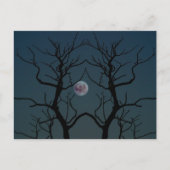 Carte Postale Silhouette Arbre Lune (Devant)