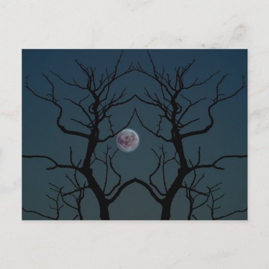 Carte Postale Silhouette Arbre Lune (Devant)