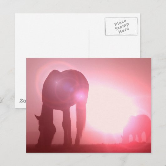 Carte postale Silhouette Cheval (Devant / Derrière)