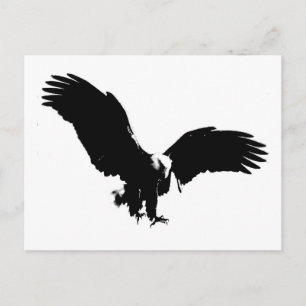 Carte postale Silhouette d'aigle noir et blanc