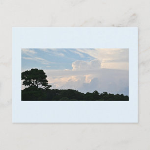 Carte postale silhouette d'arbre avec nuages
