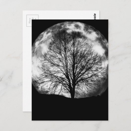 Carte Postale Silhouette d'arbre devant une Pleine lune (Devant / Derrière)