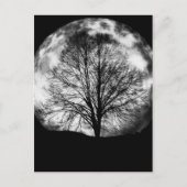 Carte Postale Silhouette d'arbre devant une Pleine lune (Devant)
