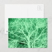 Carte Postale Silhouette d'arbre vert (Devant / Derrière)
